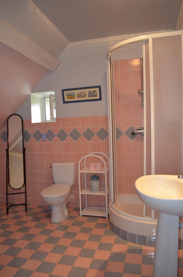 Bed and Breakfast La Ferme Du Chateau Tresnay Exterior foto